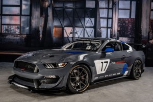 Ford Mustang GT4 Race Car